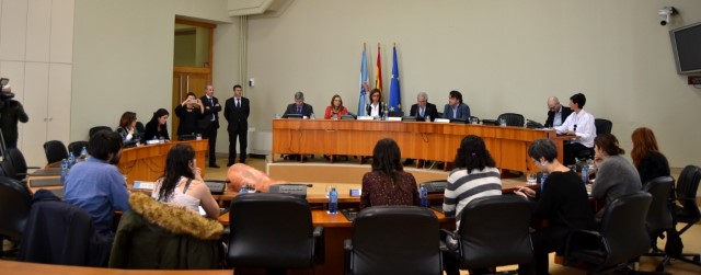 Constitúense as comisións non permanentes de seguridade viaria, igualdade e discapacidade